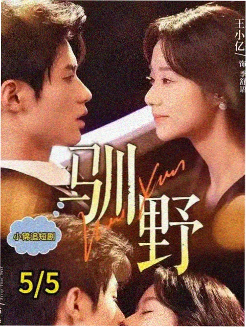 雾港档案 蜂鸟影视刑侦悬疑电视剧海报